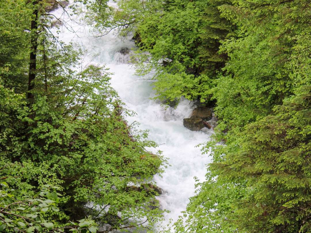 Nugget Falls-朱诺必去景点