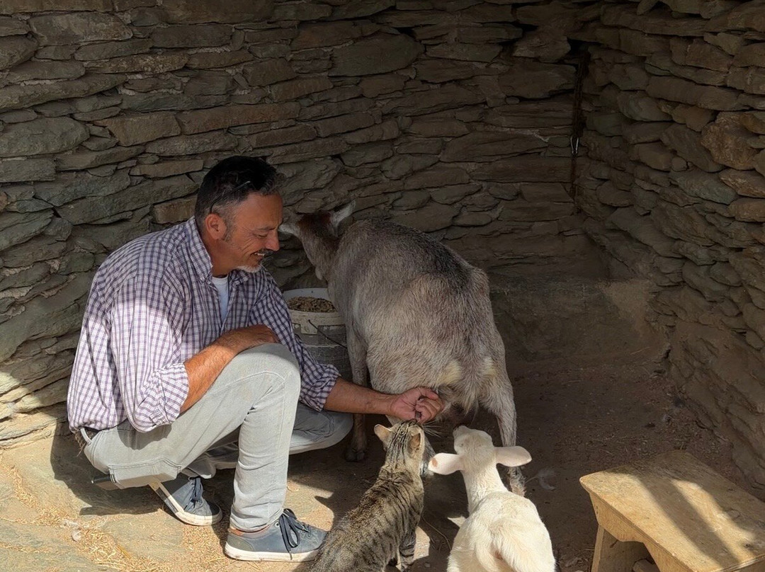 Loumidis Family Farm-Apollonia必去景点