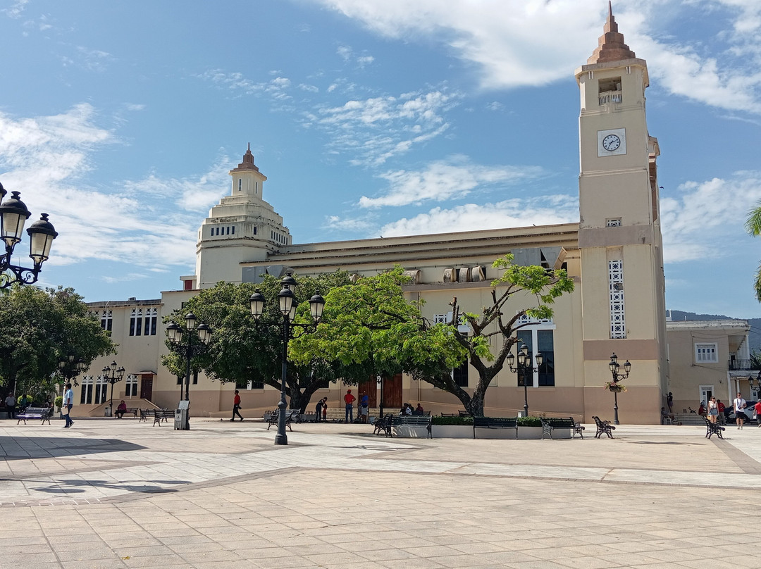 Airport Taxi Pop Tours Transfer Dominican Republic-普拉塔港必去景点