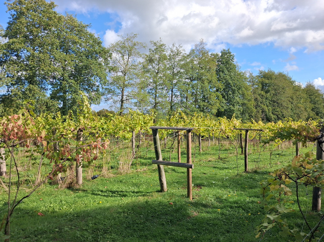 Chiltern Valley Winery & Brewery-泰晤士河畔亨利必去景点