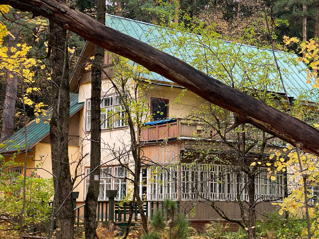 K. Chukovskiy's House Museum-Peredelkino必去景点