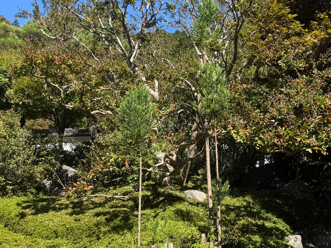 Kozenji Temple-驹根市必去景点