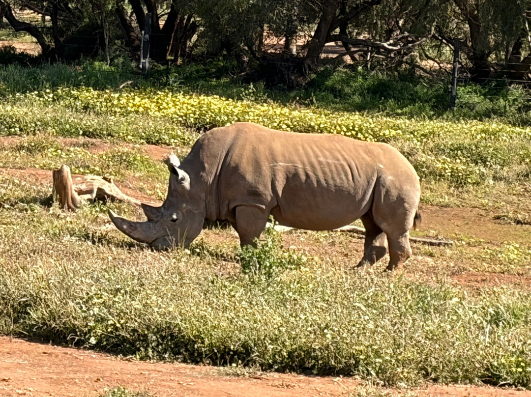 Monarto Safari Park-Monarto必去景点