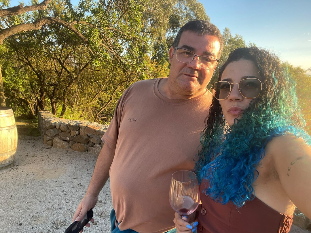 Cuatro Almas Wines