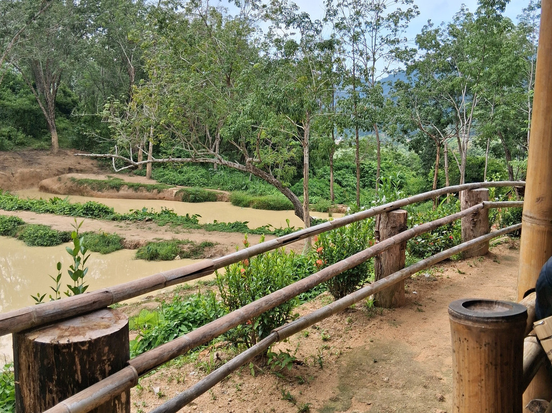 Hidden Forest Elephant Reserve-查龙必去景点
