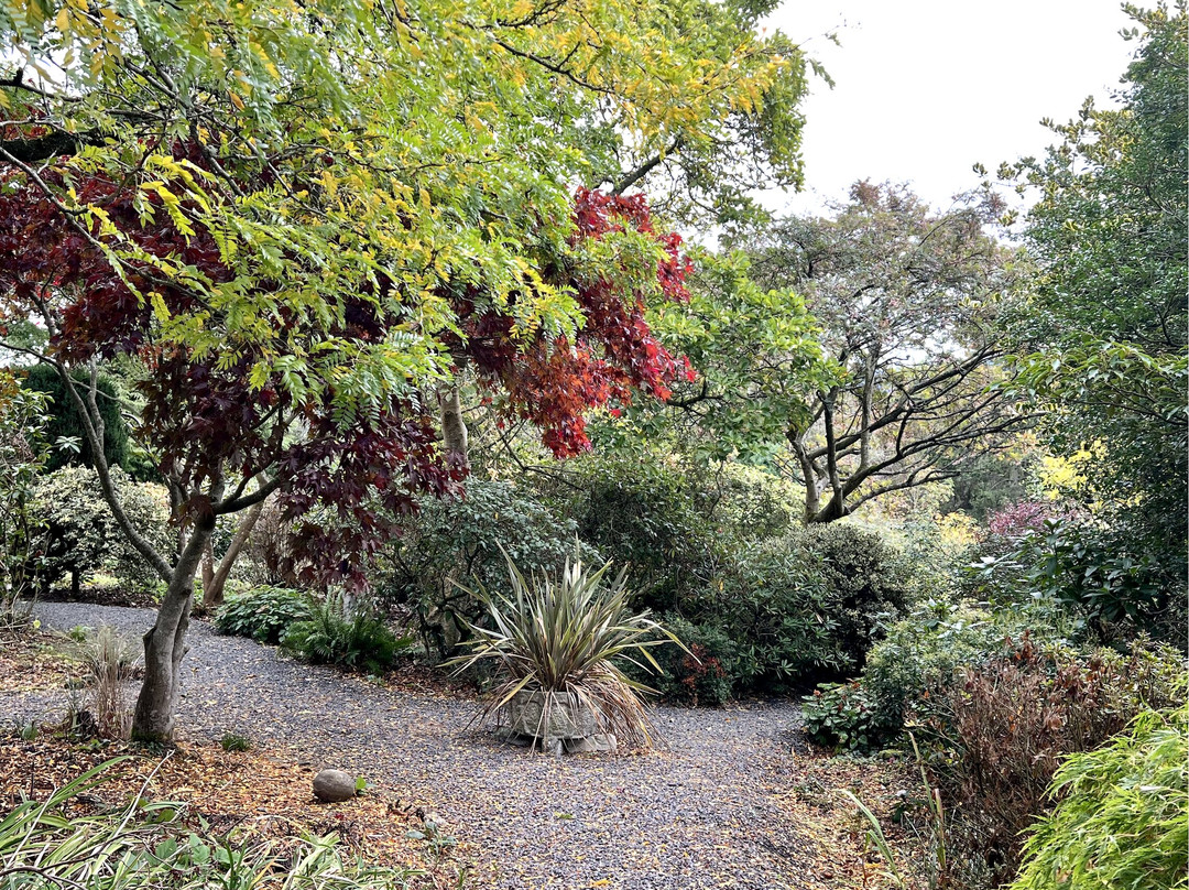 Dingle Nursery And Garden-Welshpool必去景点
