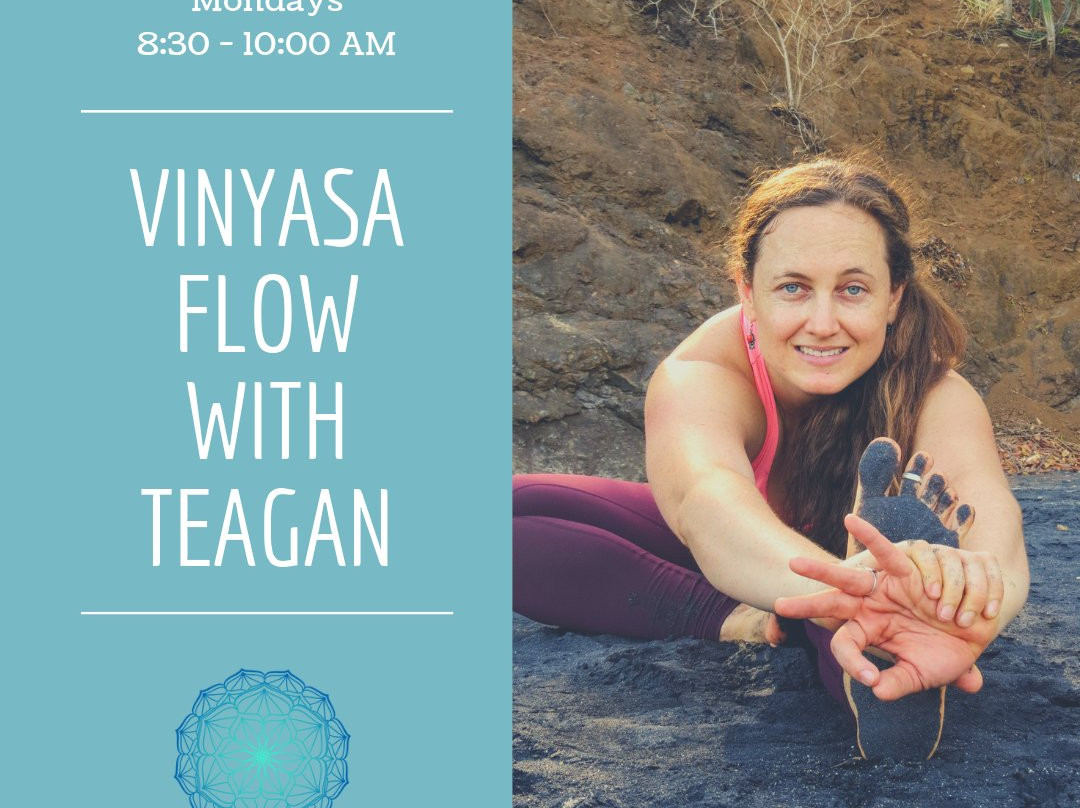 Coco Yoga & Wellness景点图片
