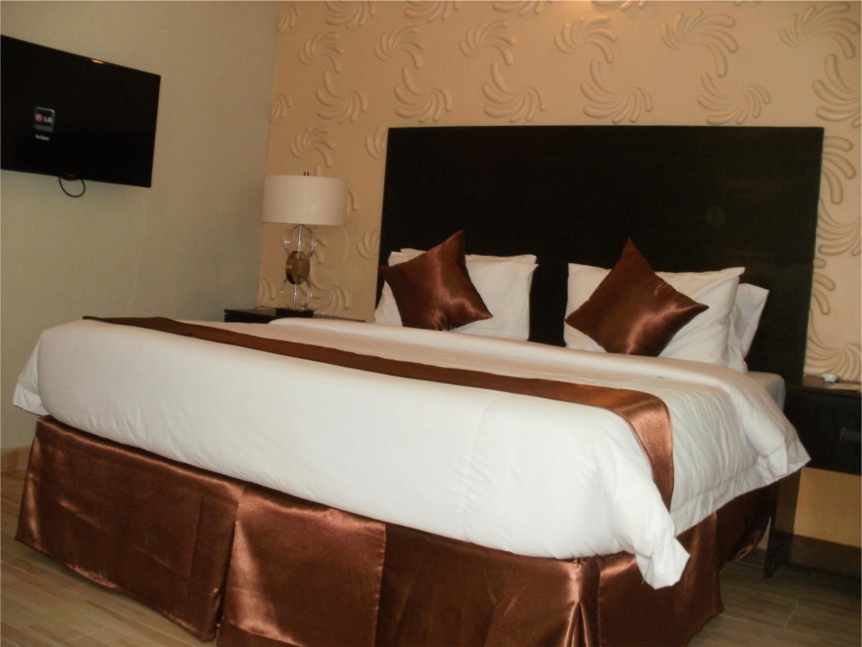 The Dover Hotel Ikeja-客卧