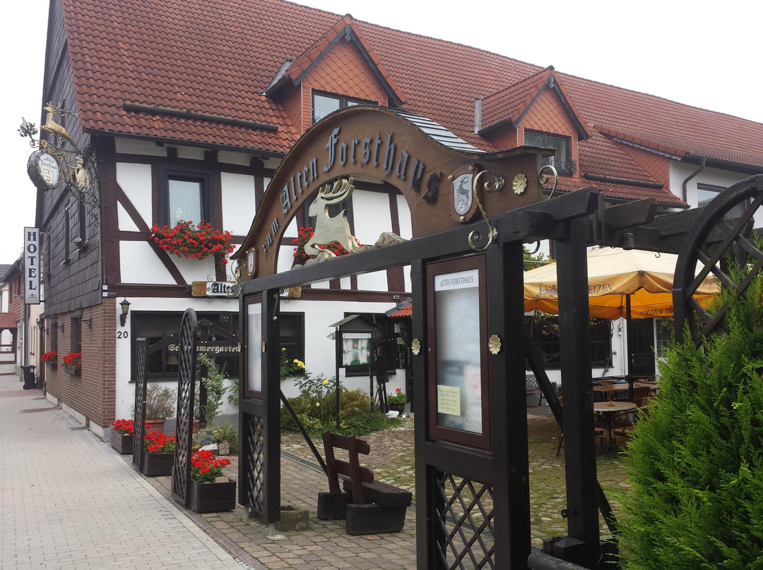 Espenau酒店住宿-Hotel Zum Alten Forsthaus