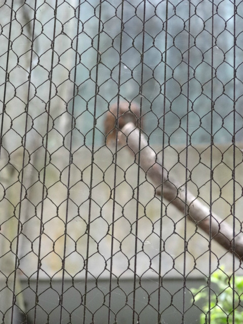 厦门海沧野生动物园景点图片