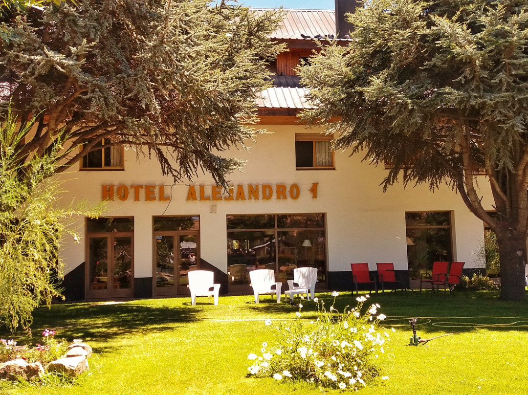 Junin de los Andes酒店住宿-Hotel Alejandro 1