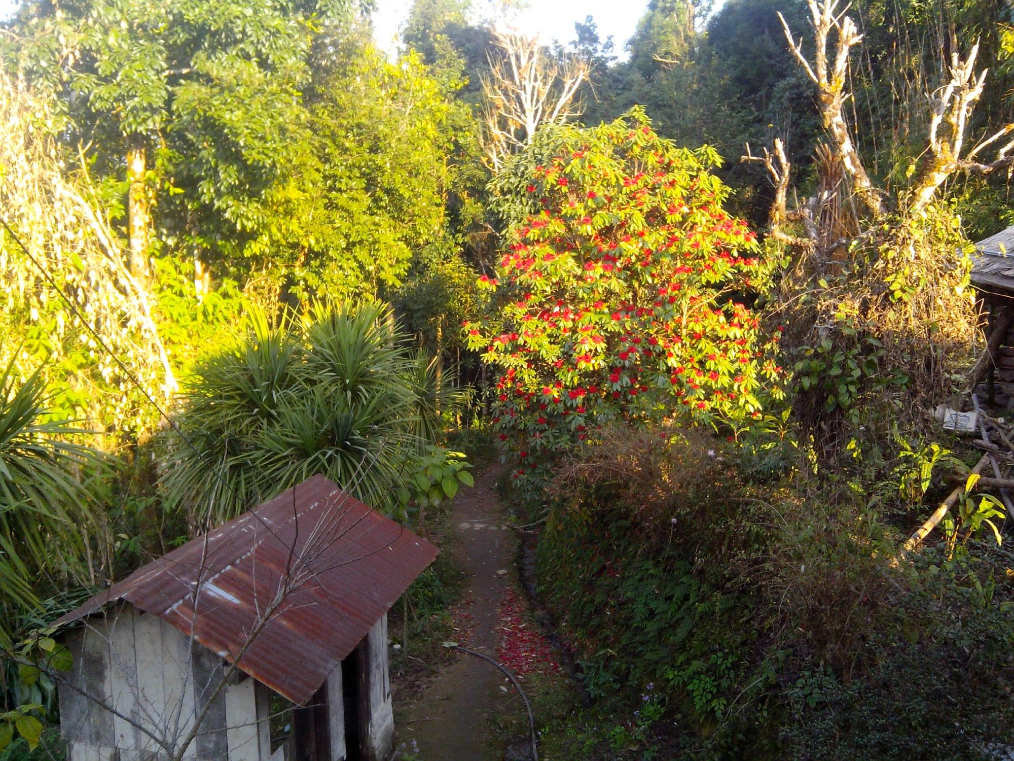 SPOT ON 63105 Barsay Jungle Camp-酒店景观