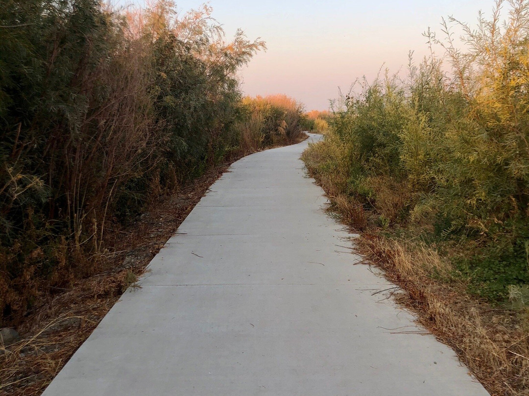 Hampton Inn Burley主图