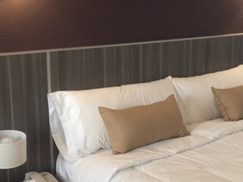 伊瓜苏瀑布万豪旗下酒店