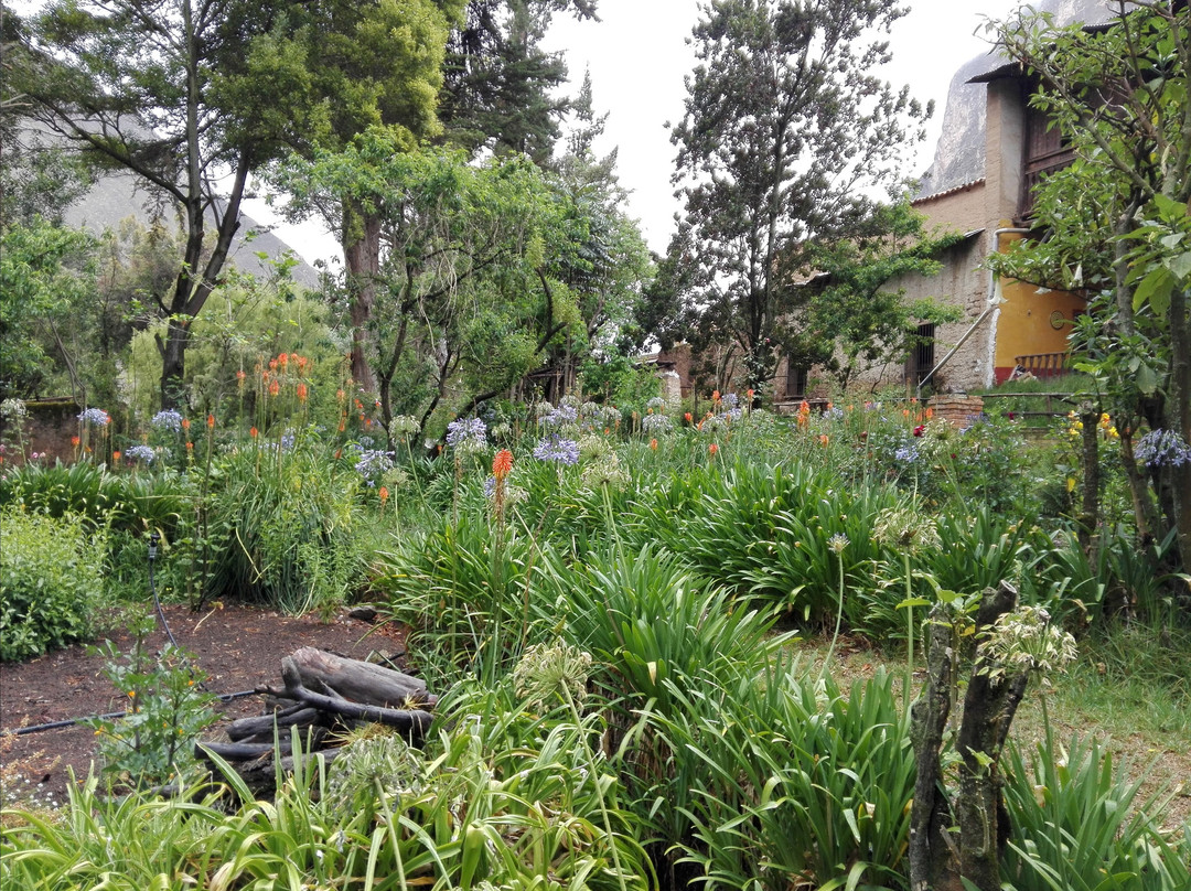 塔玛酒店住宿-Hospedaje Ecologico Hacienda La Florida