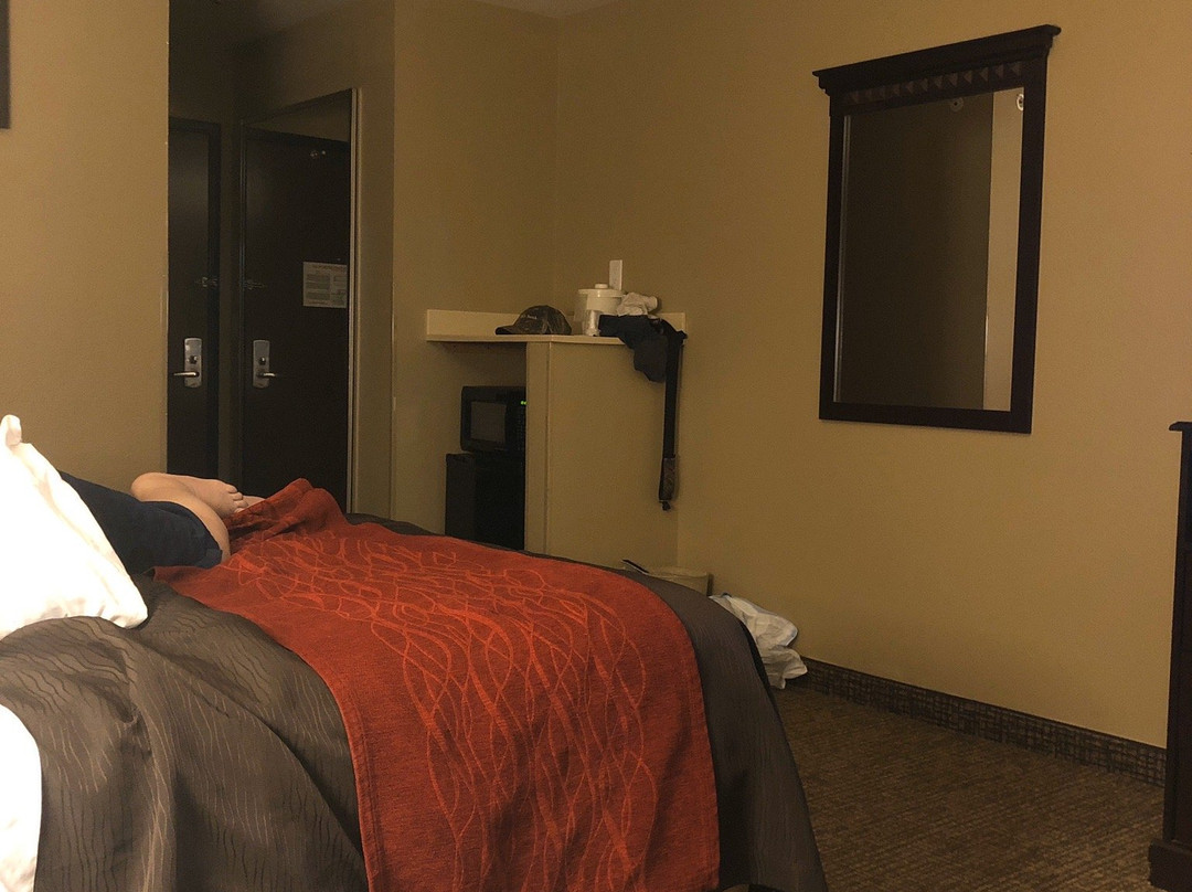 Comfort Inn & Suites Russellville I-40主图