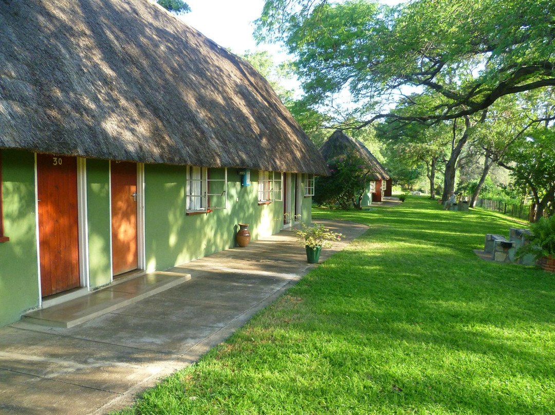 Lion & Elephant Motel
