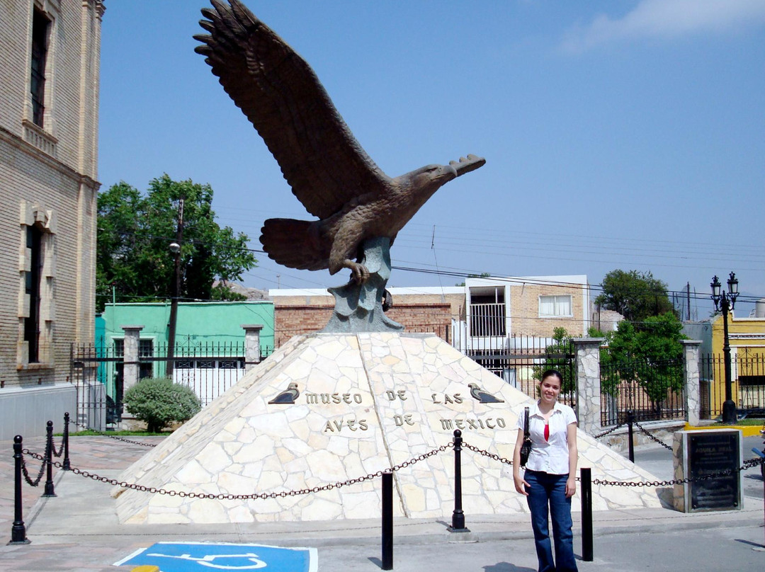 Museo de las Aves景点图片
