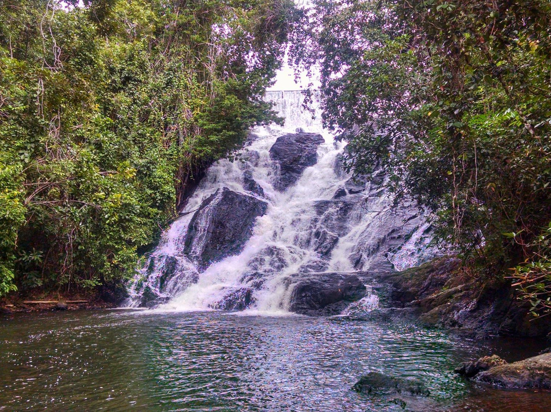 Cachoeira da Usina景点图片