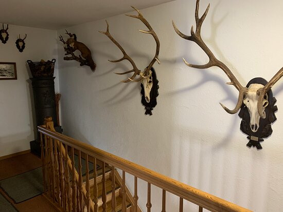 Gasthof Hosbein主图