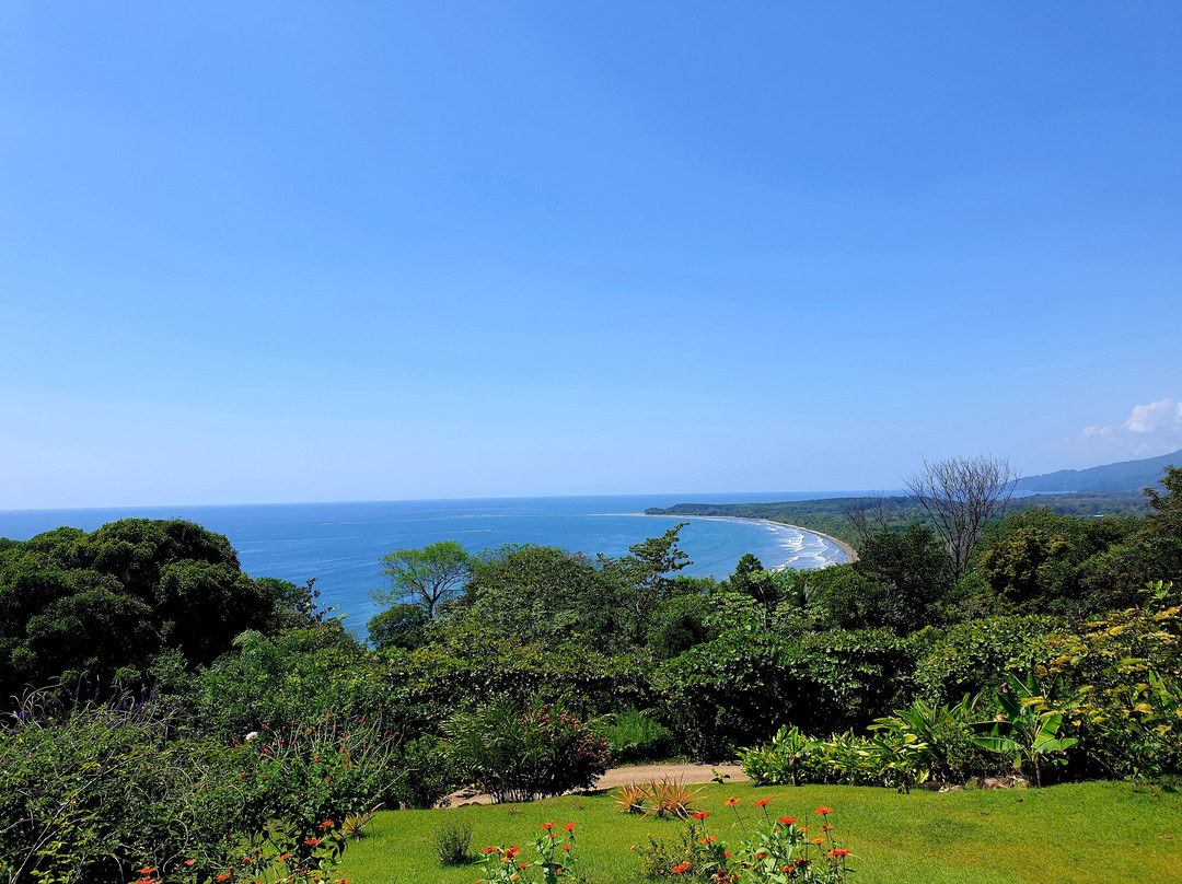 Atípico Costa Rica景点图片