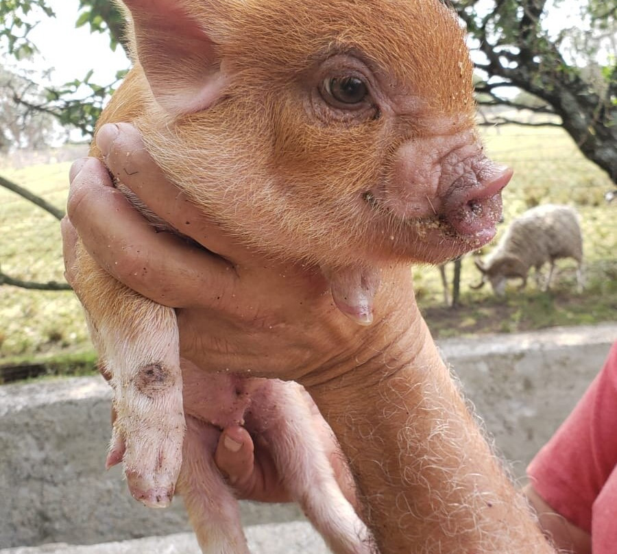 La India - Somos Naturaleza-Florida必去景点