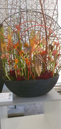 Landesgartenschau Überlingen景点图片
