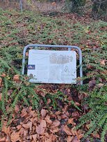 Der Mühlbach-lehrpfad - Stadt Offenburg-奥芬堡必去景点