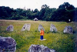 Celtic Park and Gardens-Kilcornan必去景点