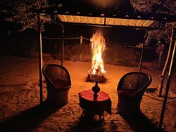 Desert Nights主图