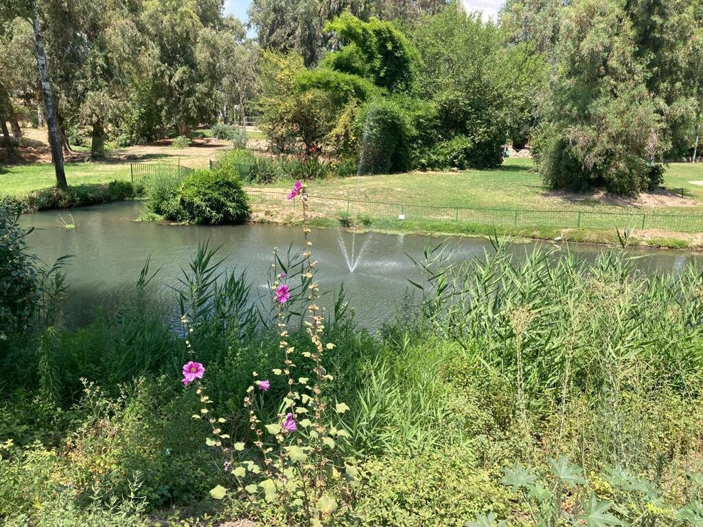 Hagoshrim Hotel & Nature主图