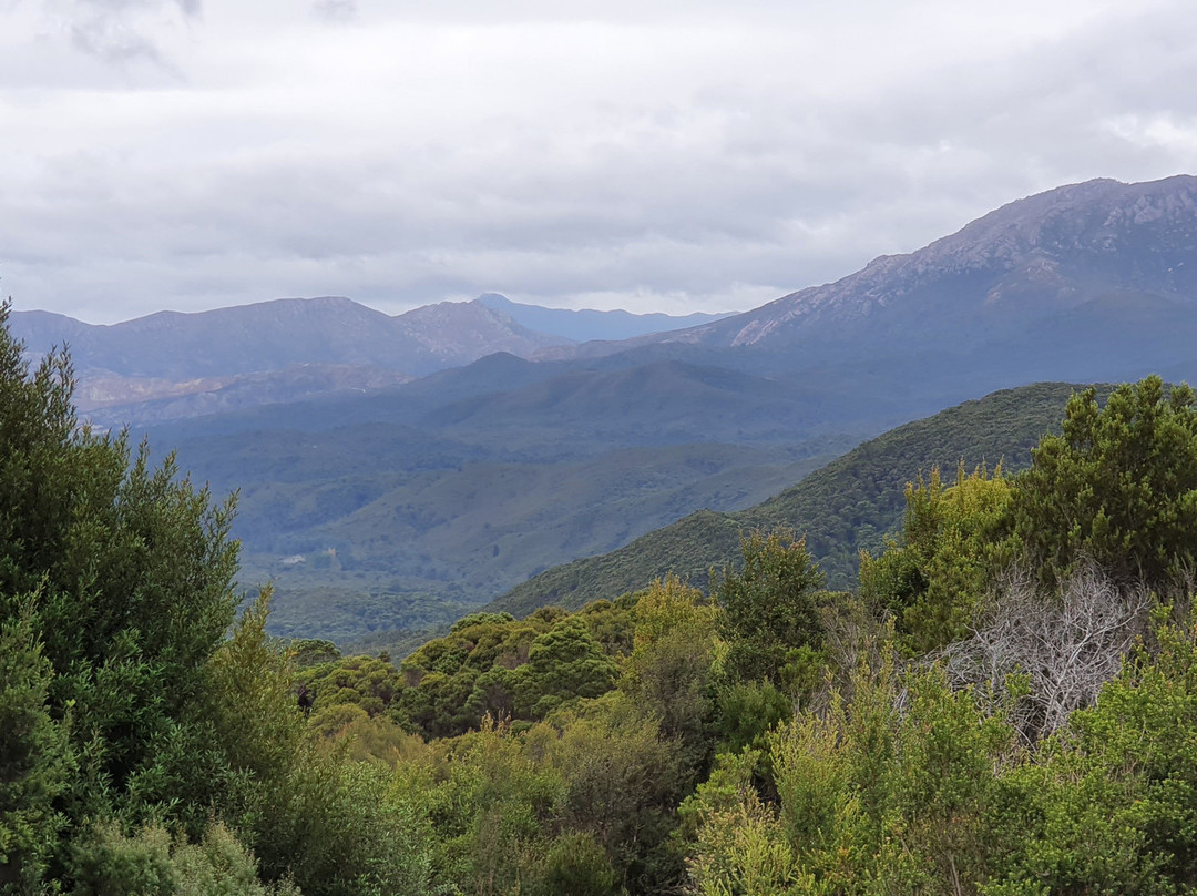 Rinadeena / Halls Creek Lookout