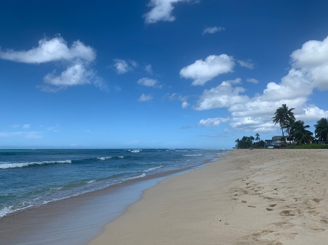 Pu'uloa Beach Park景点图片