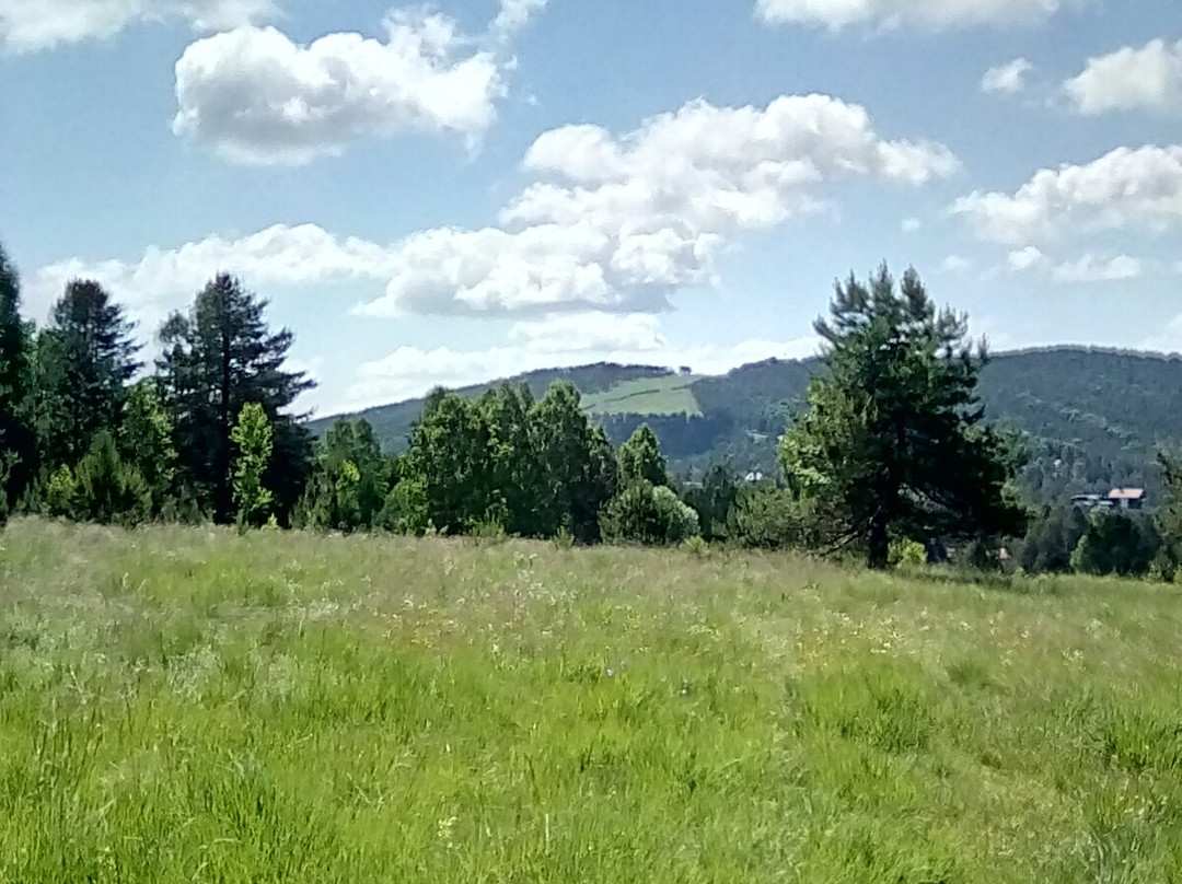 Vila Premijer Divčibare