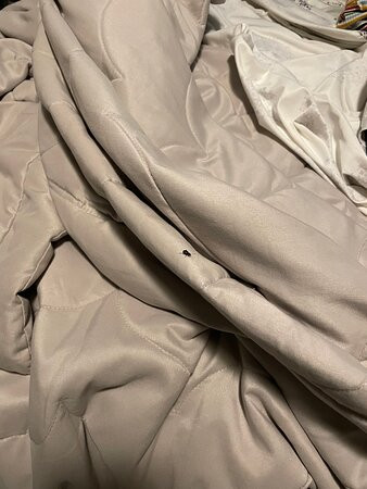 Beach Estates Inn主图