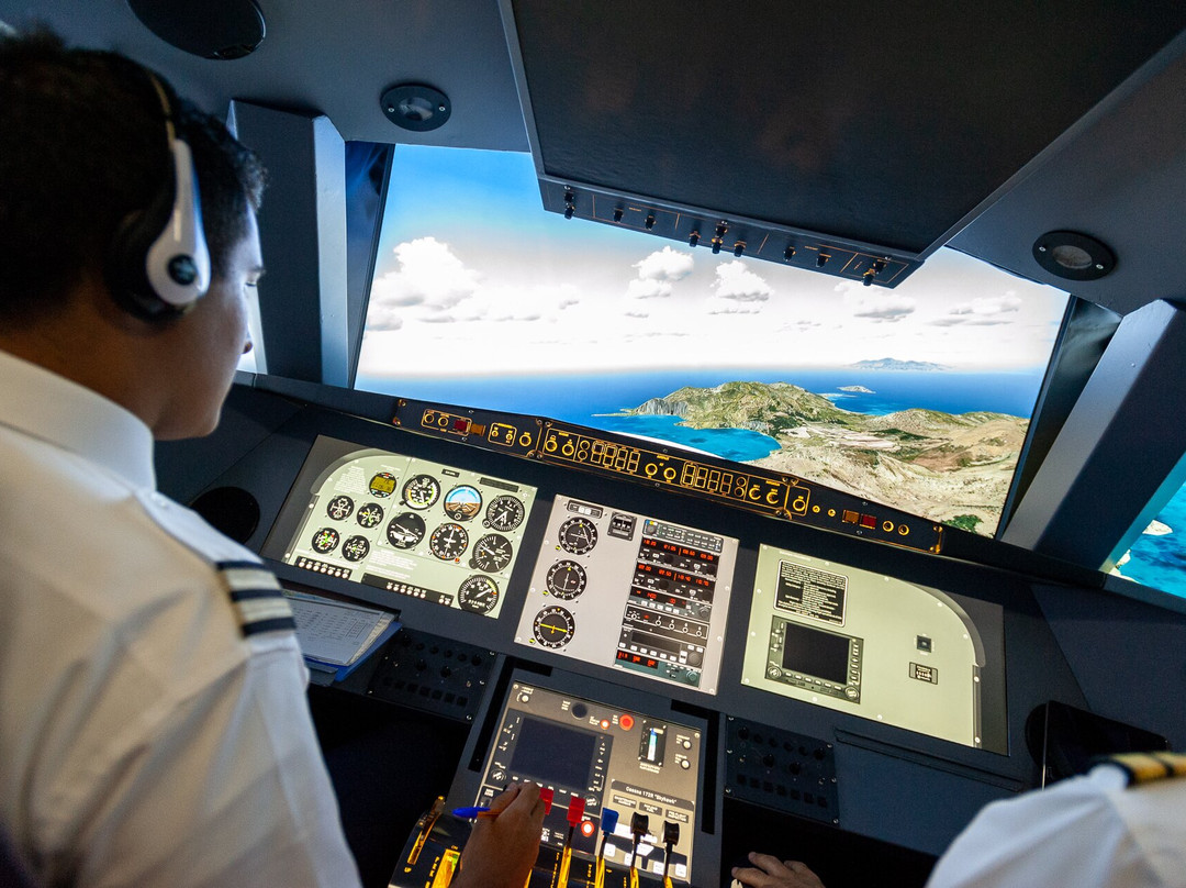 Virtual Pilot