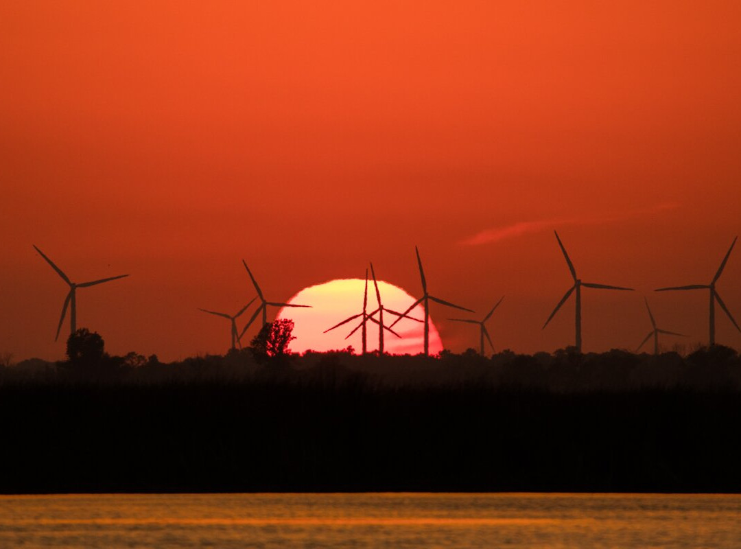 Long Point Island Hugger Tours景点图片