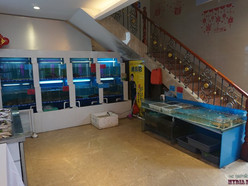 Gallery 1