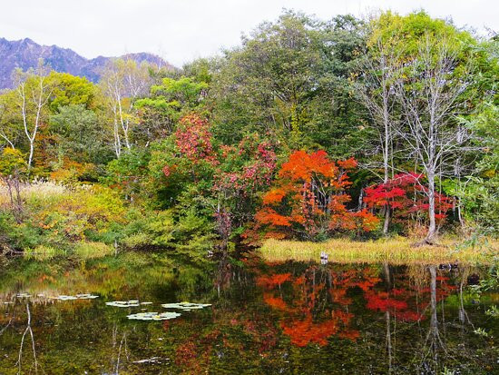 Akiyamago-津南町必去景点