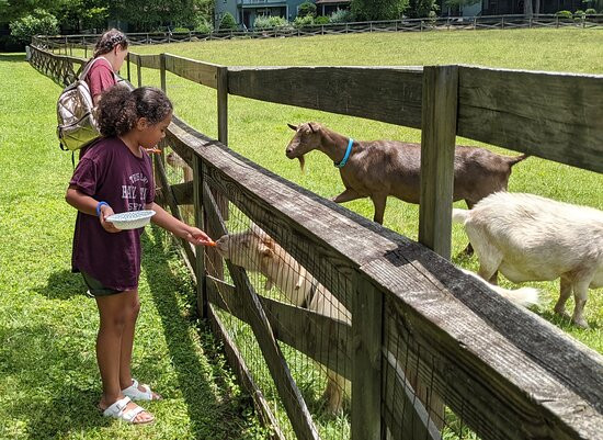 Highland Lake Inn & Resort主图