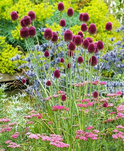 Ambleside Butterfly Garden景点图片