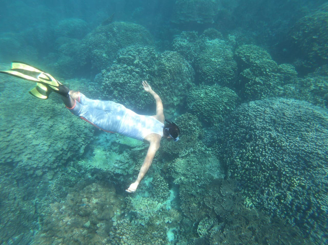 Alrabdan Diving And Sea Tours景点图片