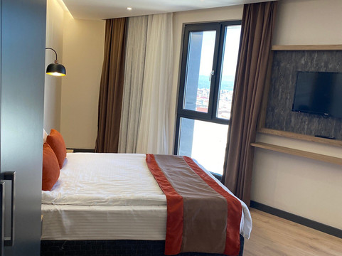 布尔萨科扎酒店