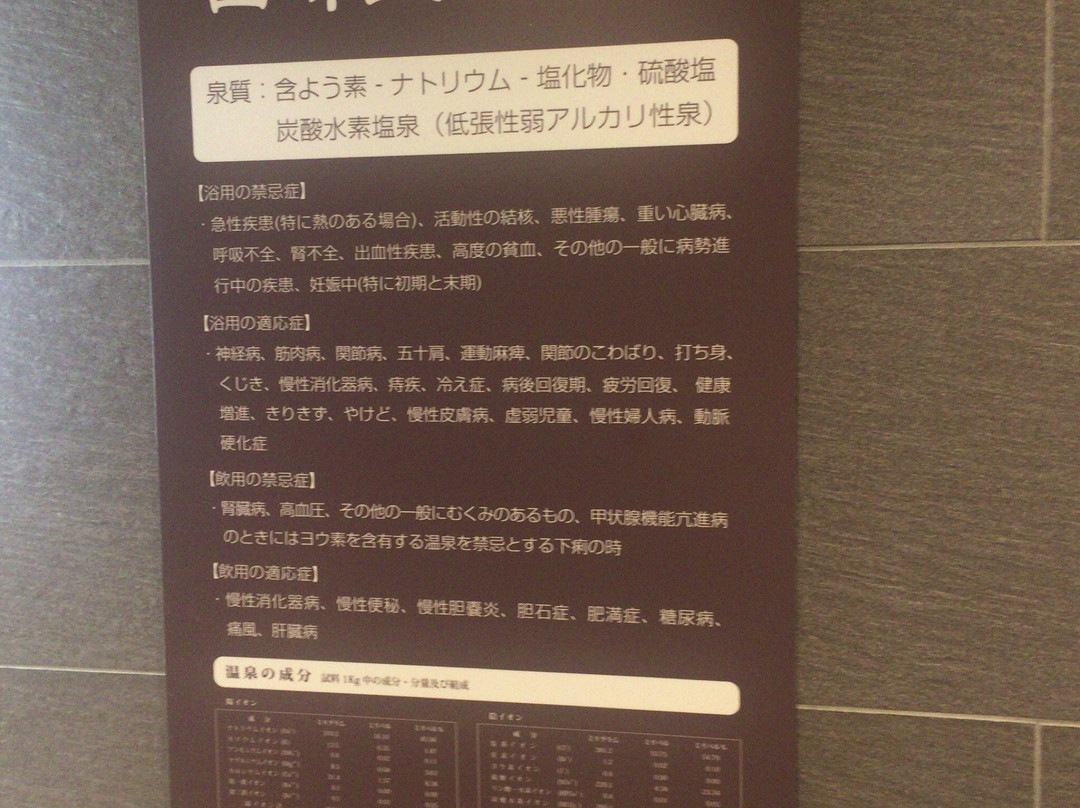 Super Hotel Yamanashi Minami Alps主图