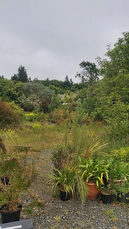 Cluain na dTor Seaside Gardens & Nursery-Falcarragh必去景点