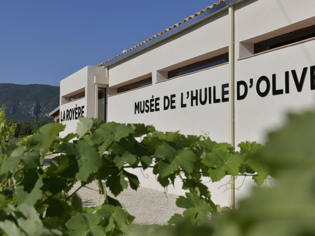 Musée De L’Huile D’Olive景点图片