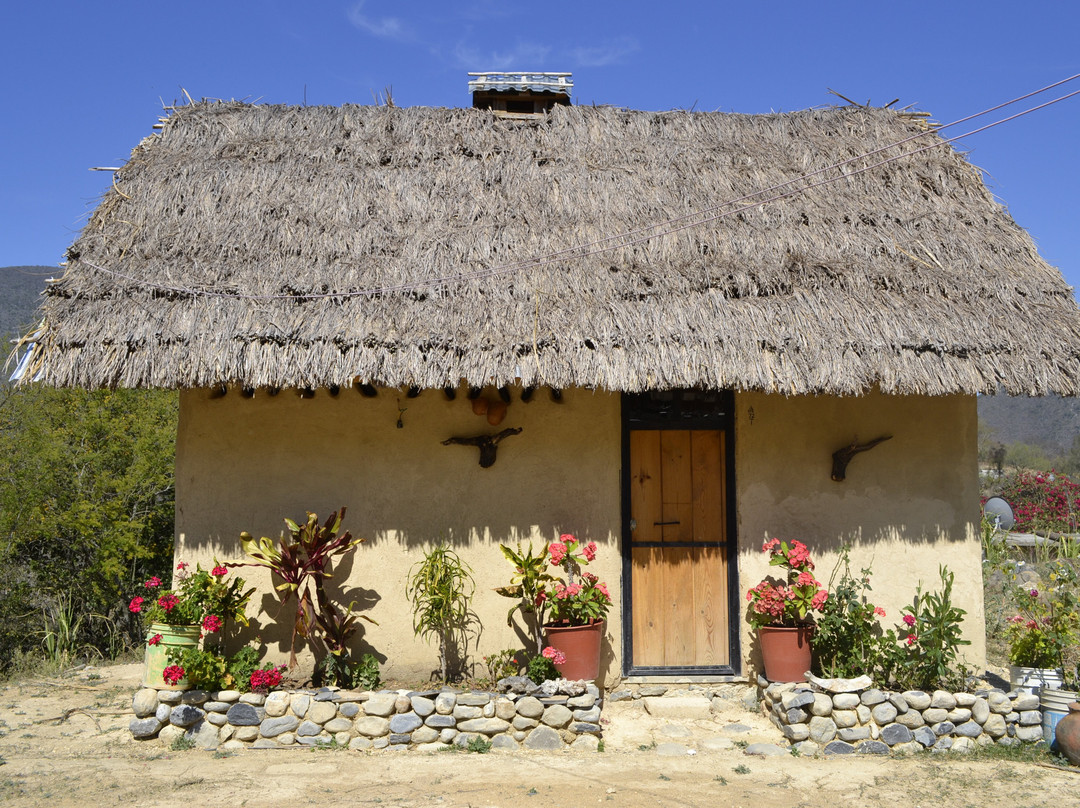 Cabañas Las Guacamayas