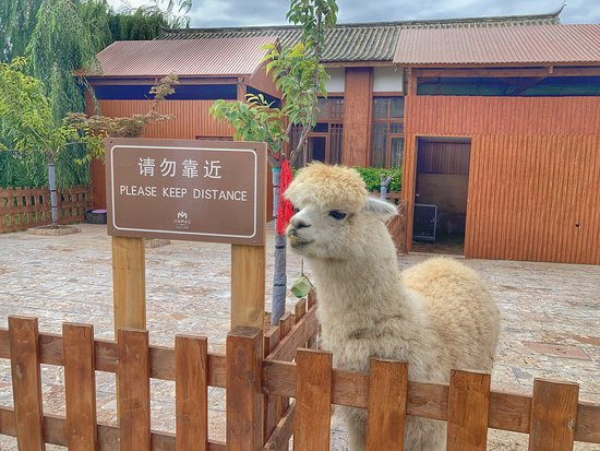 丽江金茂隐逸酒店·凯悦臻选主图