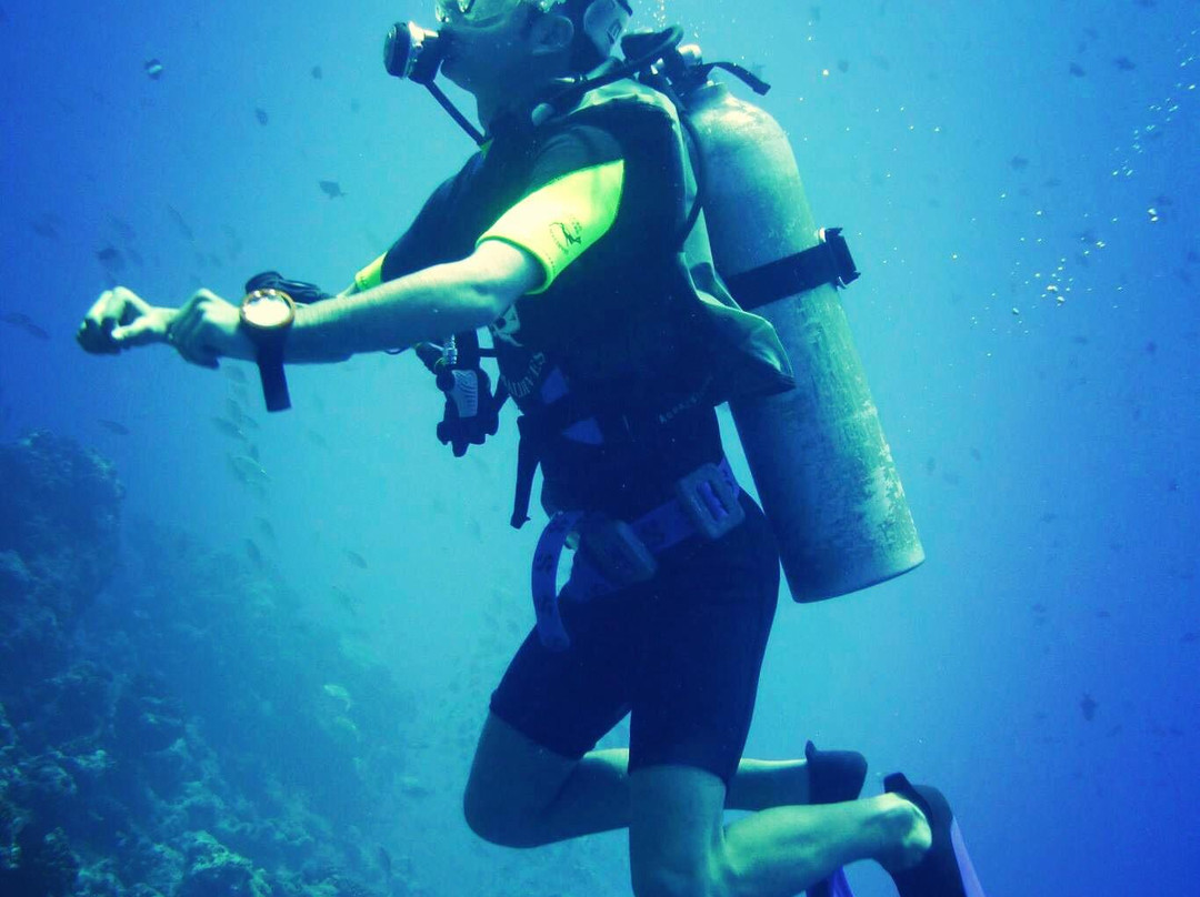Euro Divers Sheraton Maldives景点图片