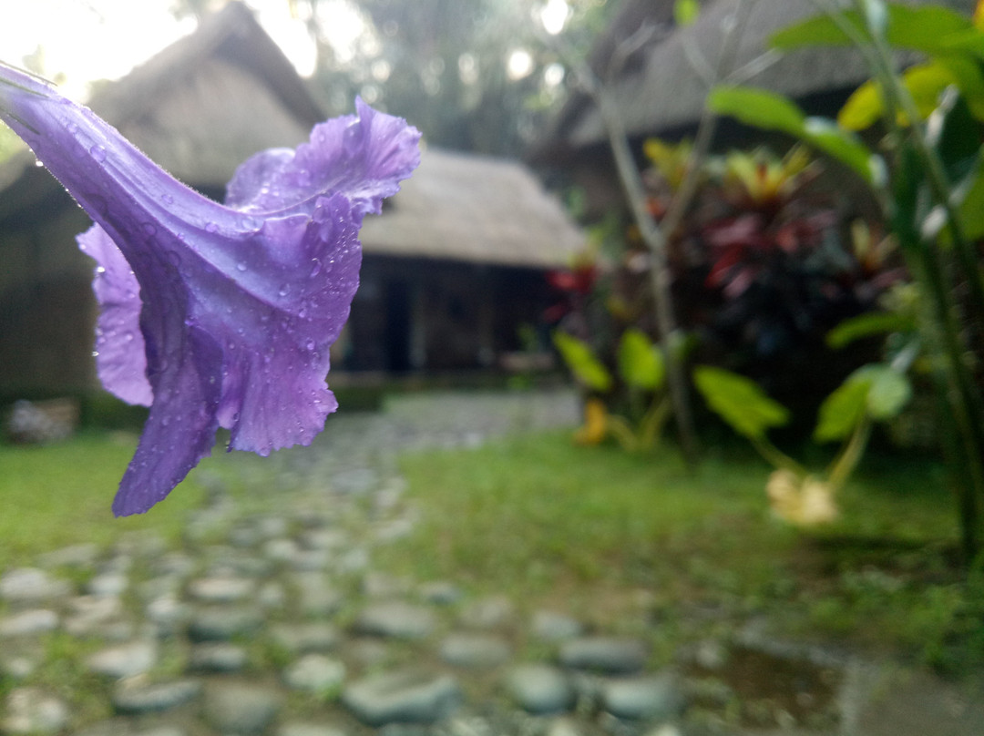 Sangeh Traditional Village - Day Tours景点图片